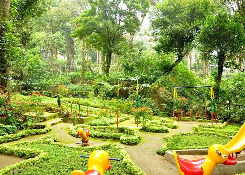 Kerala Munnar Outdoors