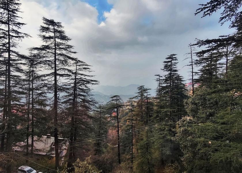 Himachal Pradesh Shimla Room