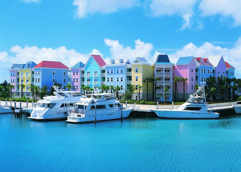  Paradise Island Primary image