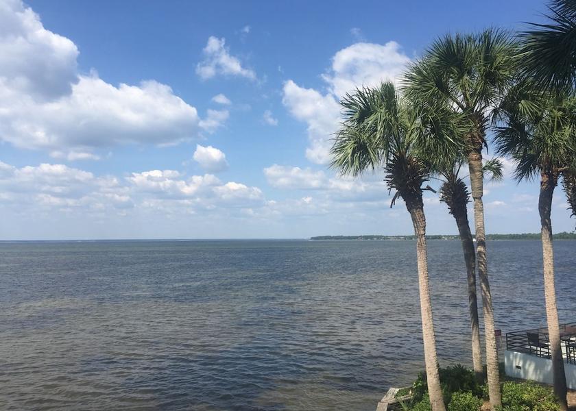Florida Miramar Beach View from Property
