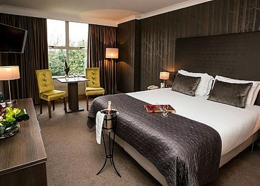 Punjab Ludhiana Premium Room