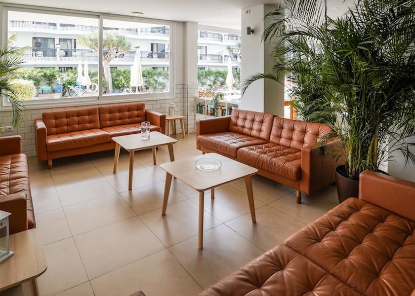 Canary Islands Arona Reception