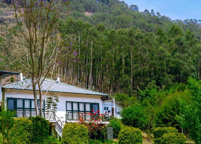 Kerala Munnar Hotel Exterior