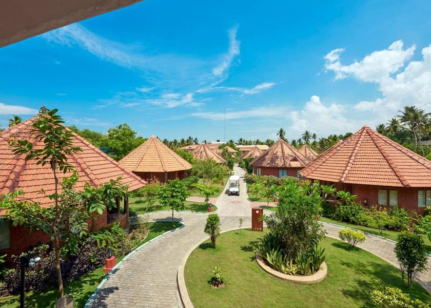 Kerala Thiruvananthapuram Outdoors