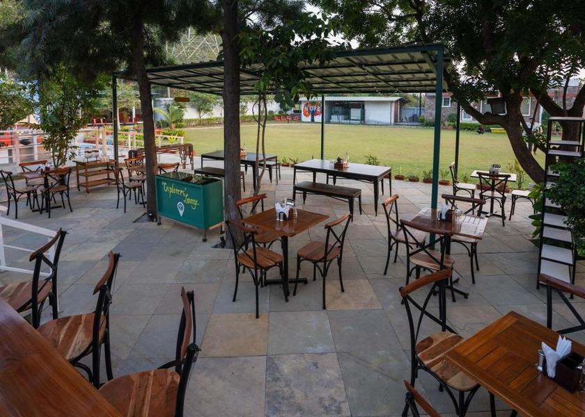 Rajasthan Udaipur Food & Dining