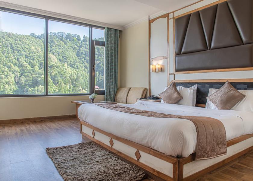 Himachal Pradesh Shimla Deluxe Room AC/Heating