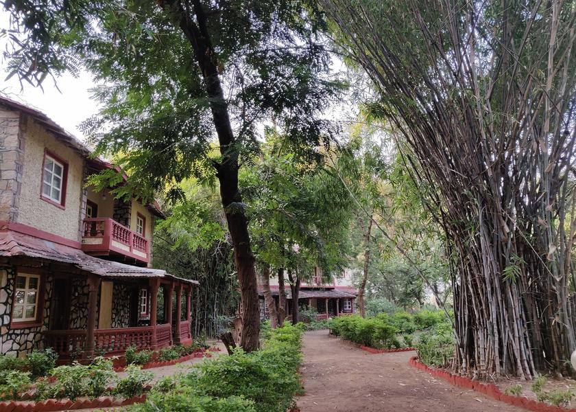 Rajasthan Sawai Madhopur Outdoors