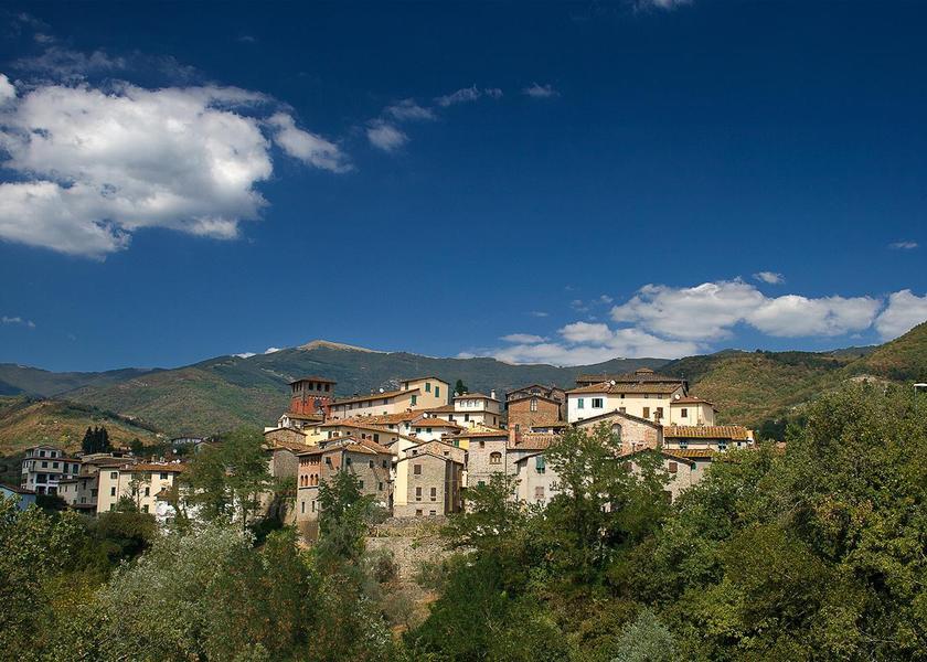 surrounding environment