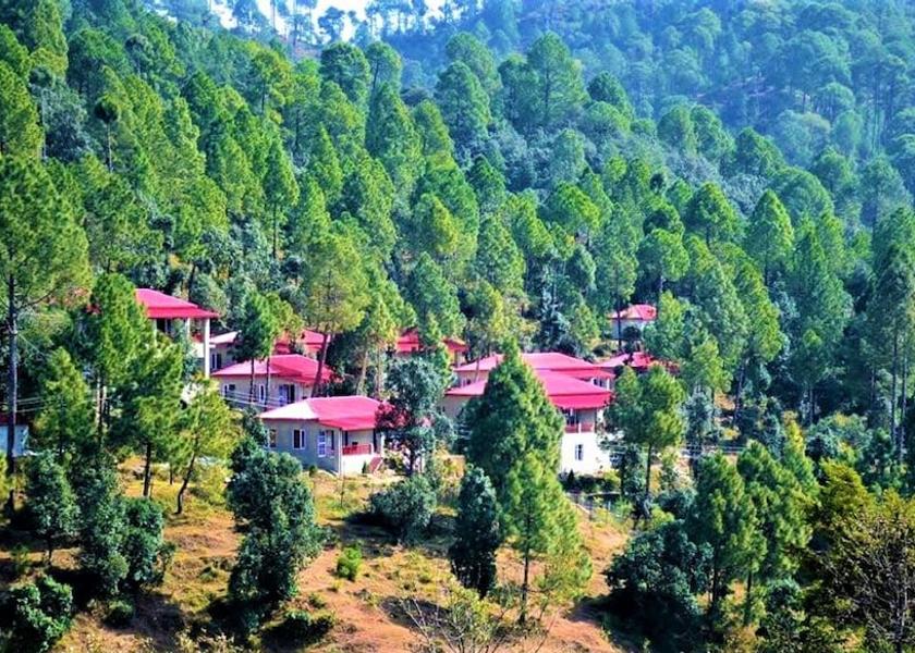 Uttarakhand Ranikhet Primary image