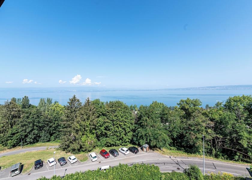 Auvergne-Rhône-Alpes Evian-les-Bains View from property