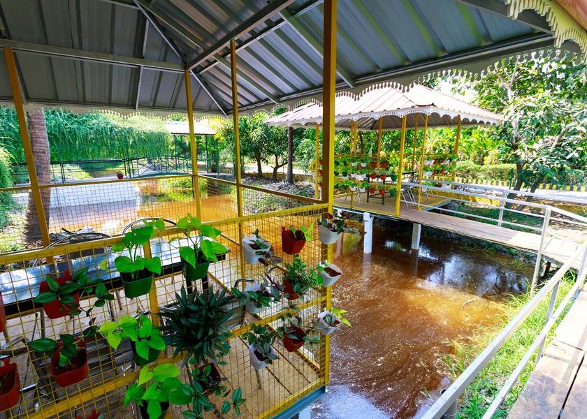 Kerala Kumarakom Hotel View