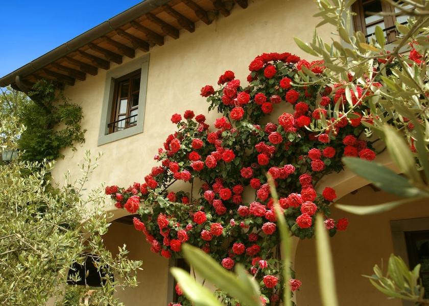 Tuscany Borgo San Lorenzo Porch