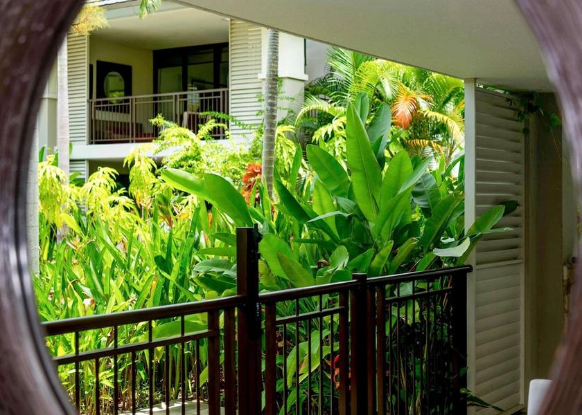 Queensland Craiglie Room