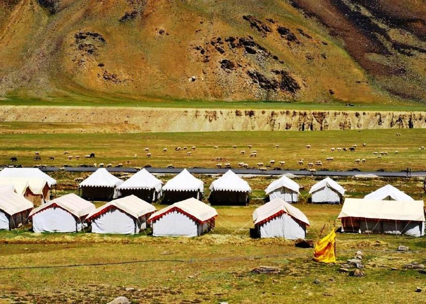 Himachal Pradesh Sarchu Primary image