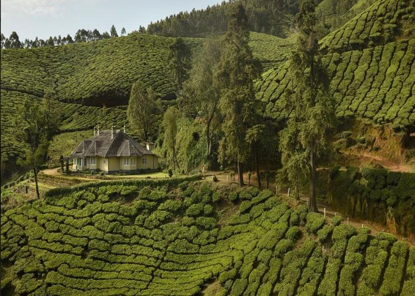 Kerala Munnar Hotel View