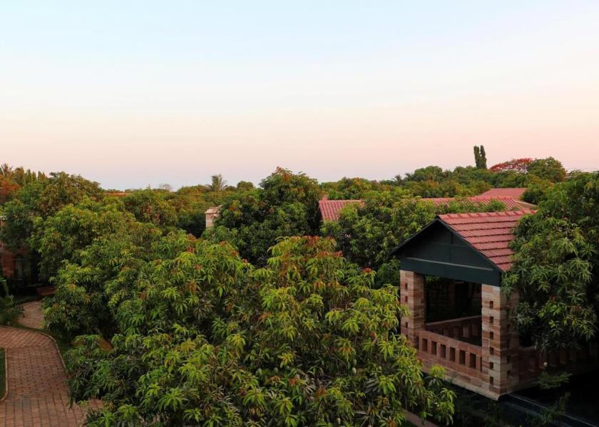 Gujarat Sasan Gir Hotel View