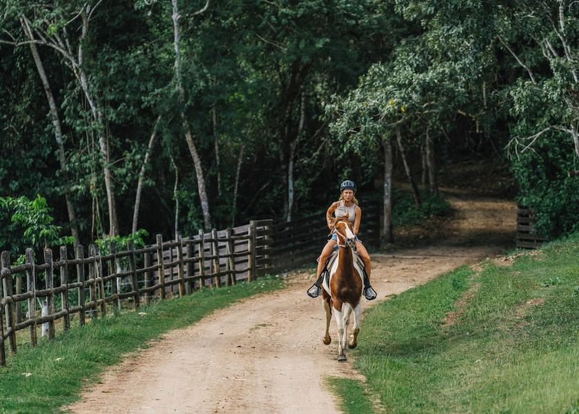 Cayo District San Ignacio Horse Riding