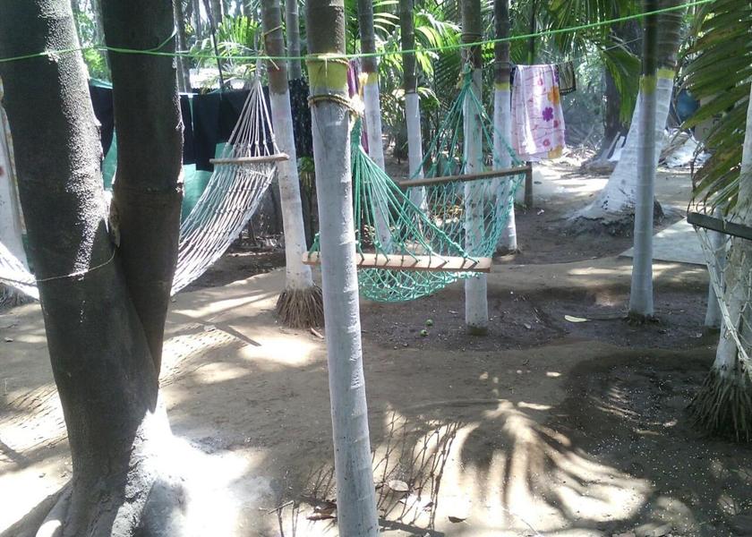Maharashtra Alibaug Surrounding environment