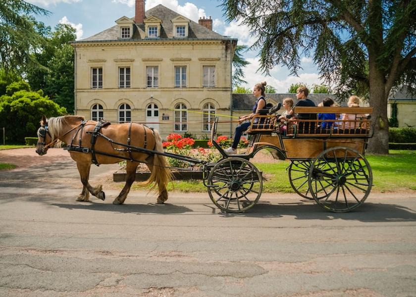 Nouvelle-Aquitaine Roiffe Horse Riding