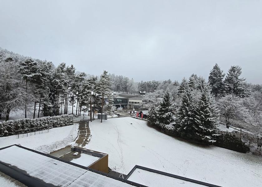  Maribor Mountain View