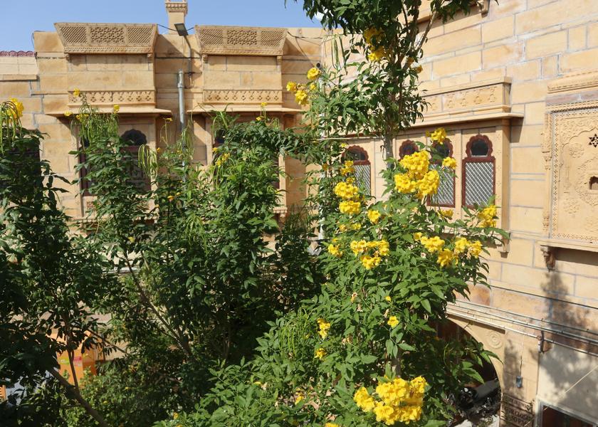 Rajasthan Jaisalmer Hotel Exterior