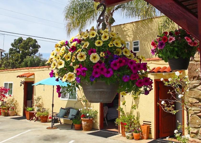 California Encinitas Courtyard