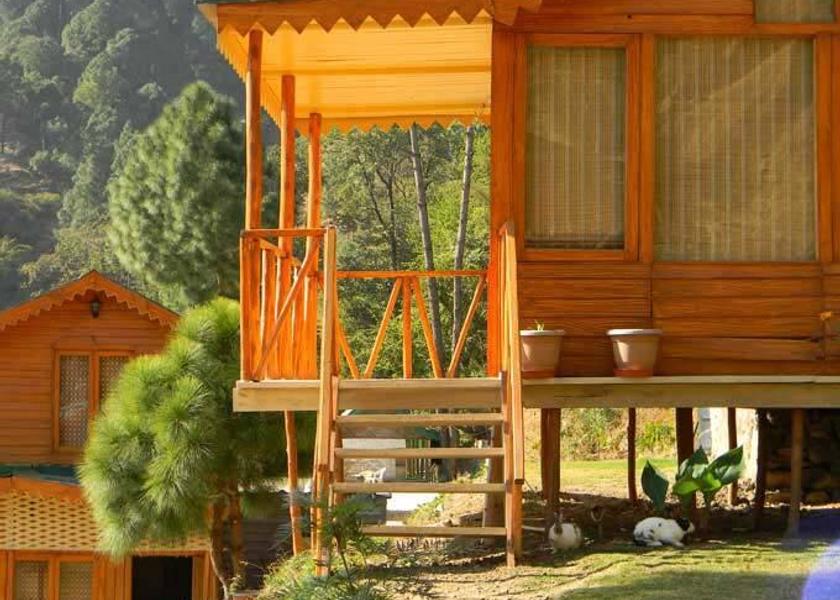 Himachal Pradesh Kasauli 