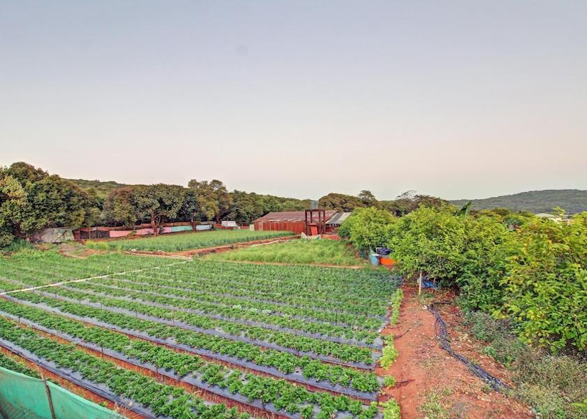 Maharashtra Mahabaleshwar View from property