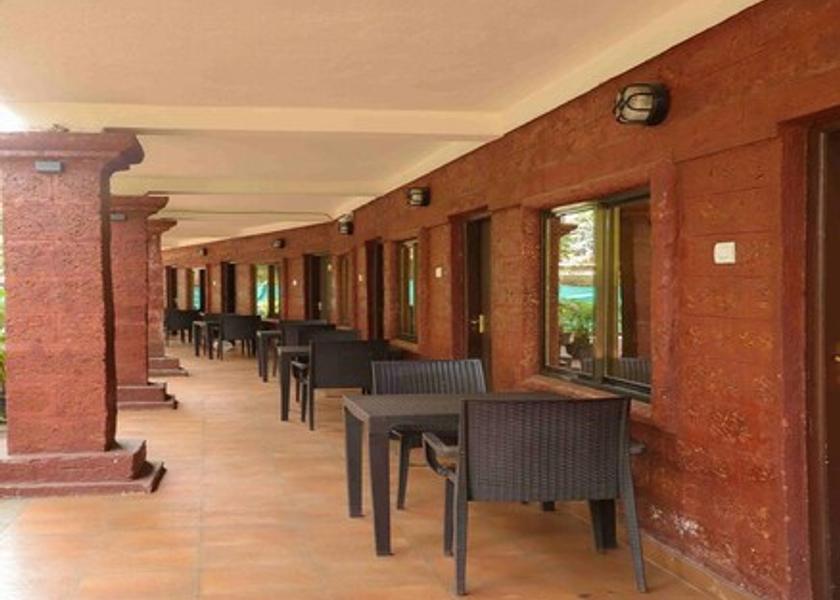 Maharashtra Mahabaleshwar Outdoors