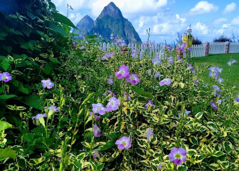 Soufriere Exterior Detail