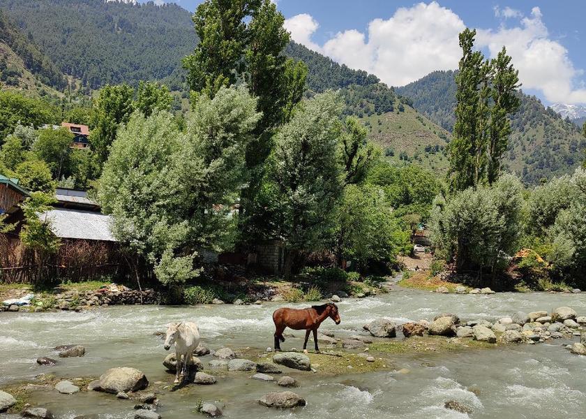 Jammu and Kashmir Pahalgam surrounding environment