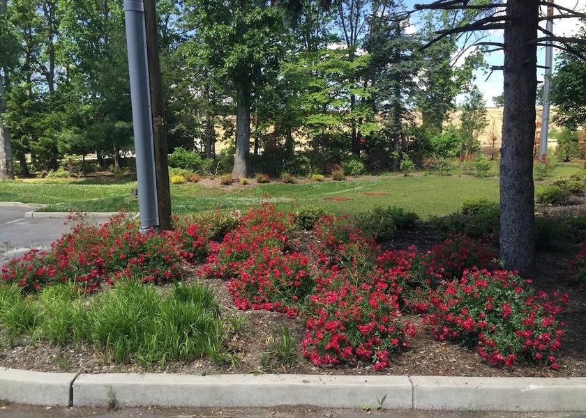 New Jersey Absecon Property Grounds