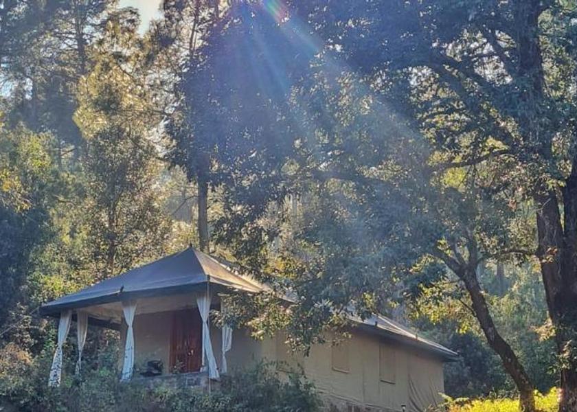Uttarakhand Ranikhet Garden