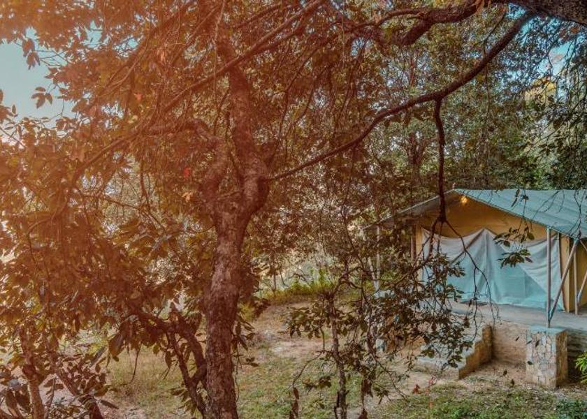 Uttarakhand Ranikhet Surrounding environment