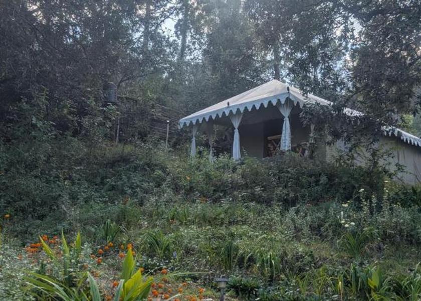Uttarakhand Ranikhet Garden