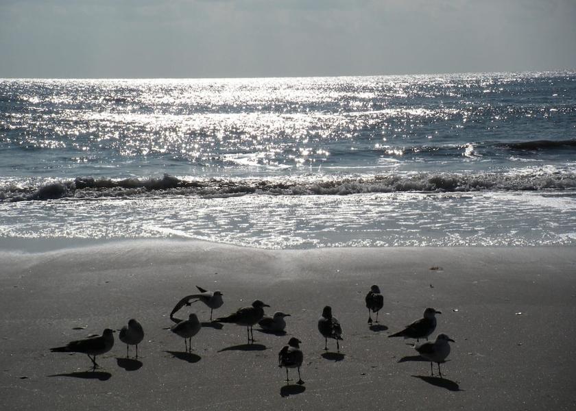 New Jersey Ventnor City Beach