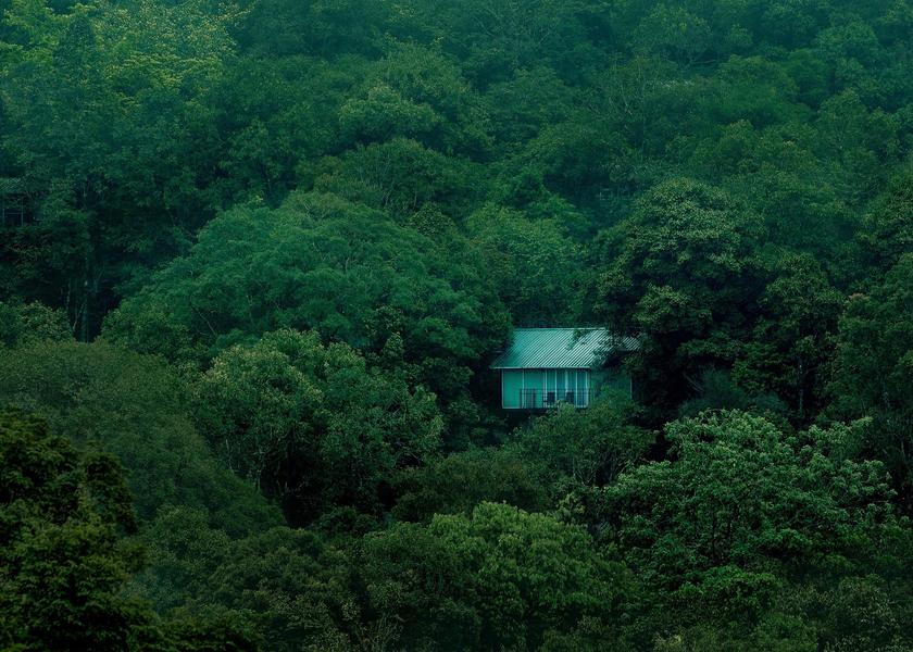 Kerala Wayanad Hotel View