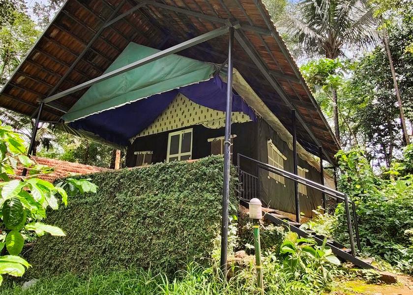 Kerala Wayanad Hotel Exterior