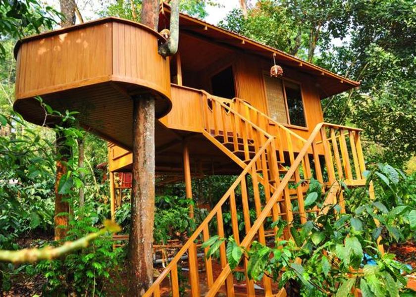 Kerala Wayanad Hotel Exterior