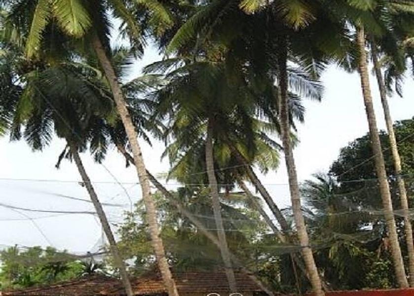 Goa Orlim Exterior