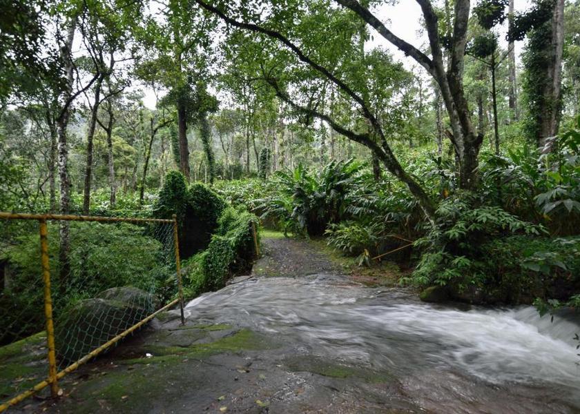Kerala Idukki Outdoors