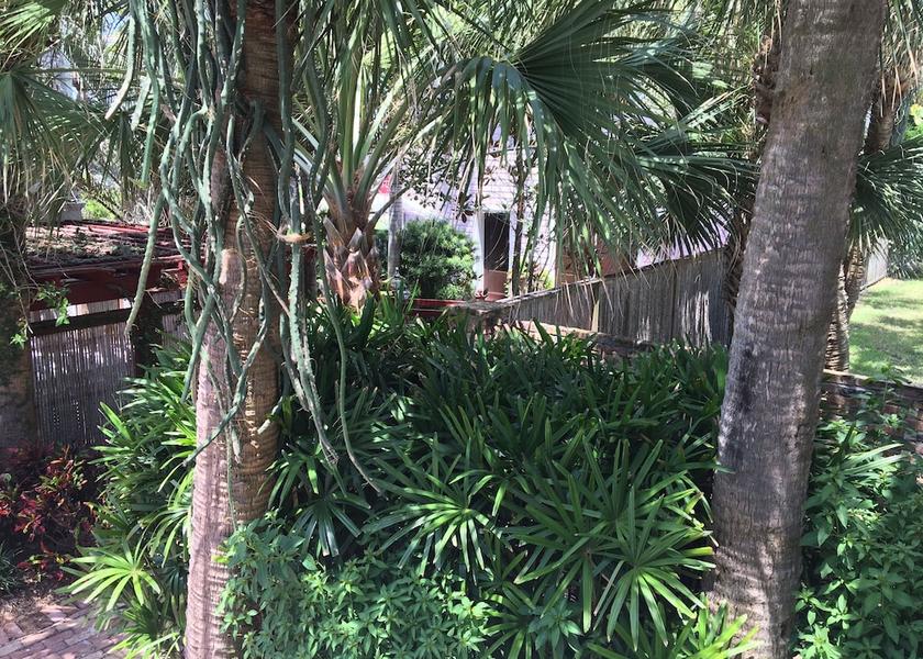 Florida Melbourne Beach Garden