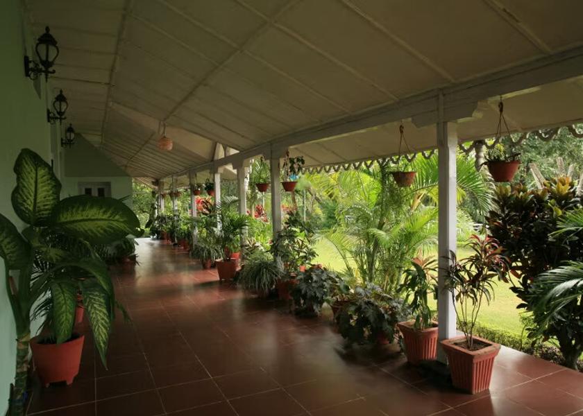 Madhya Pradesh Pachmarhi Outdoors