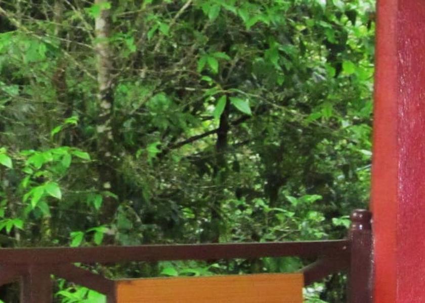 Sikkim Ravangla sitting area