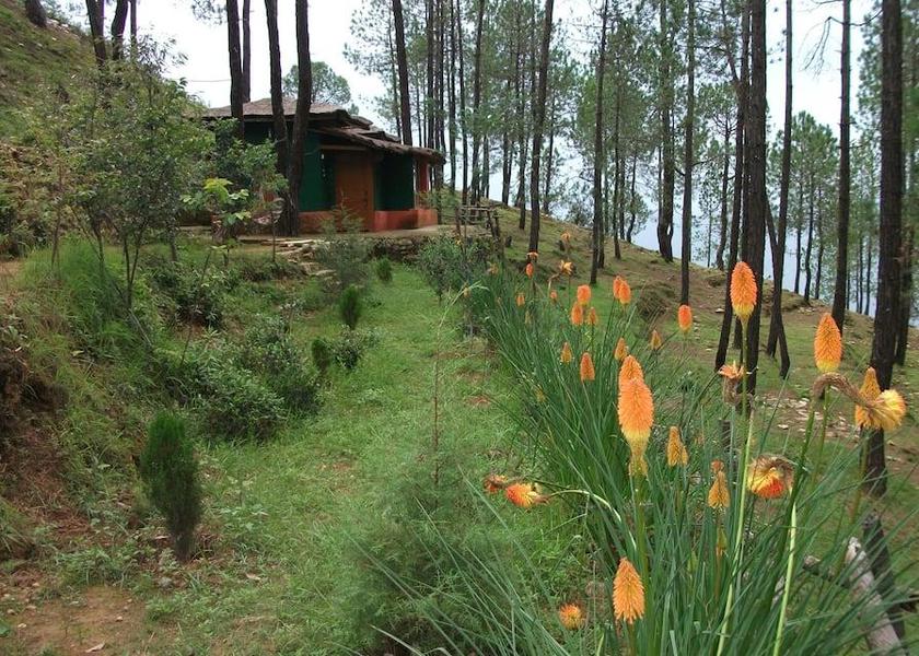 Uttarakhand Chaukori 