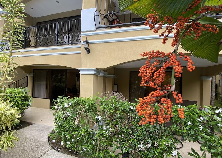Puntarenas Province Jacó Front of property