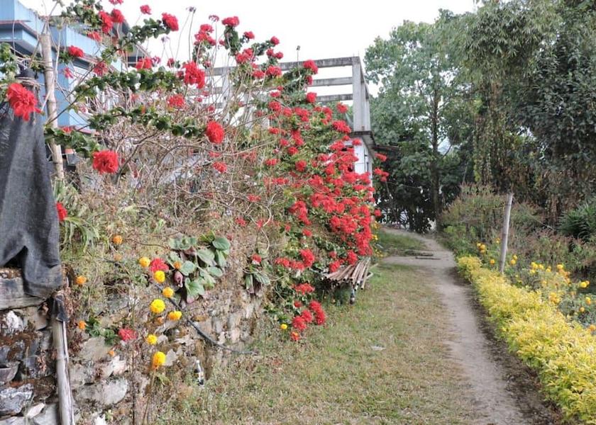 Sikkim Aritar 