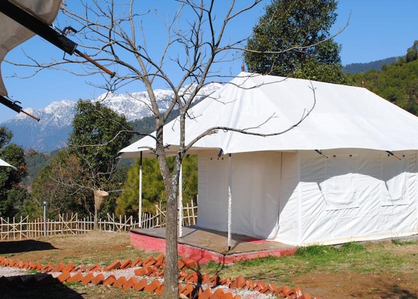 Himachal Pradesh Kangra 