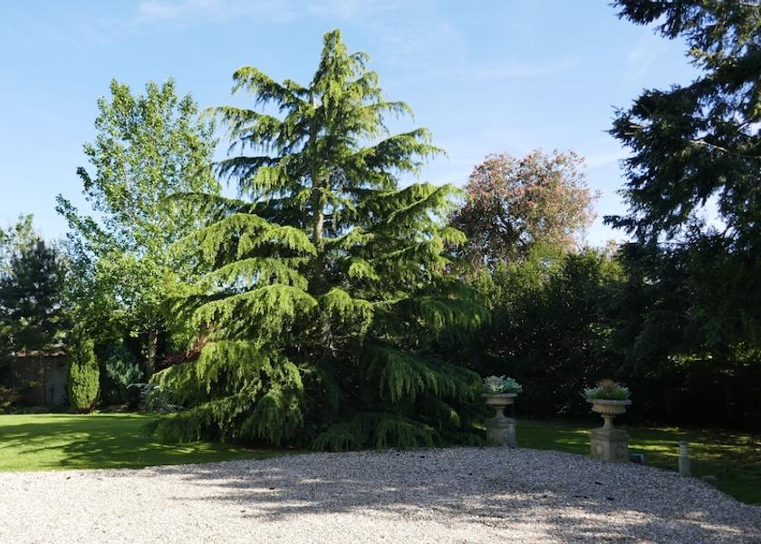 England Axminster Garden