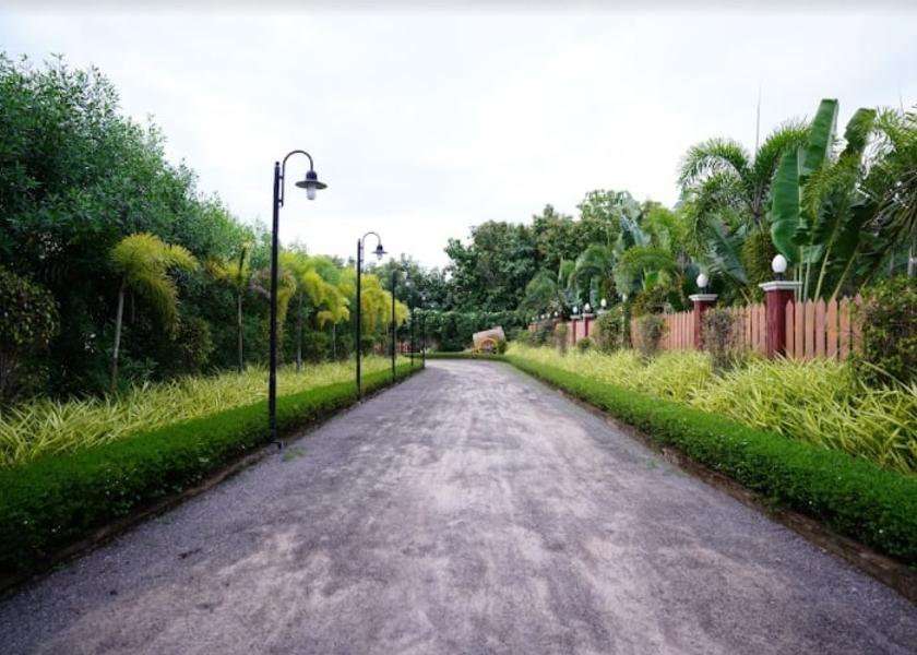Andhra Pradesh Narsipatnam 